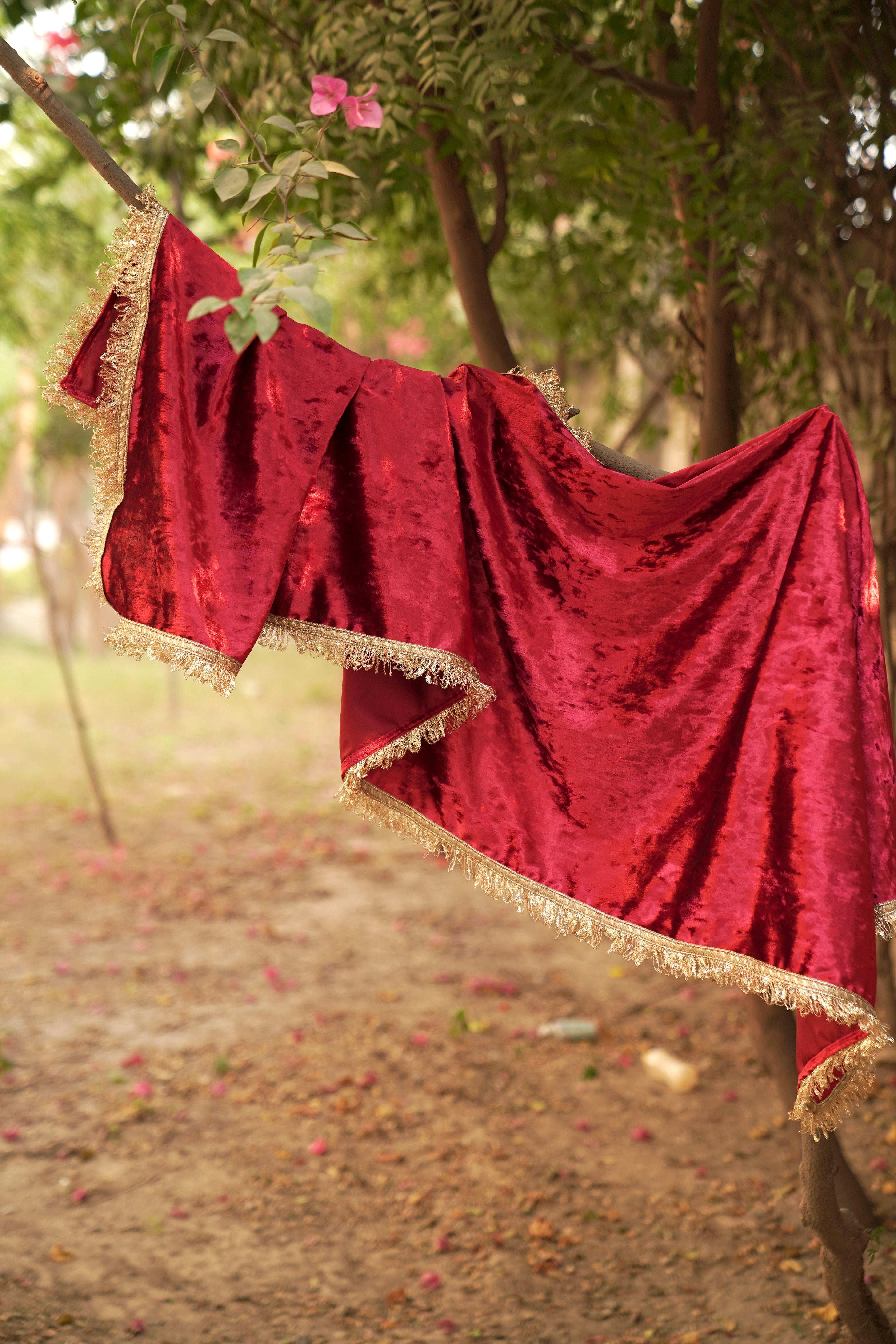 Navdana Red Velvet Curled Lace Border Dupatta - Noori
